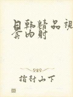 日韩精品视频无套内射