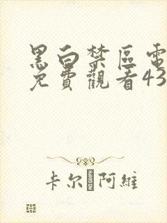 黑白禁区电视剧免费观看43集