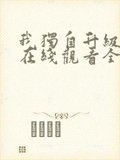 我独自升级动漫在线观看全集免费播放封面