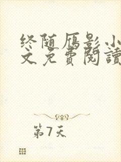 终随雁影小说全文免费阅读封面