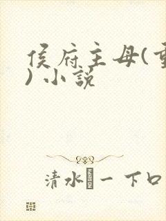 侯府主母(重生) 小说