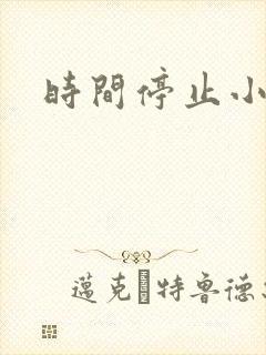时间停止小说