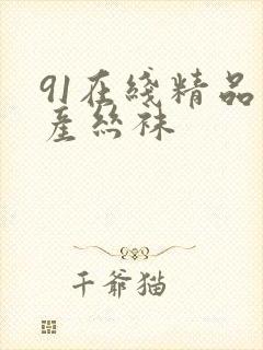 91在线精品国产丝袜封面