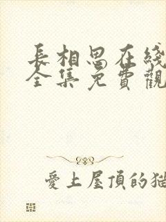 长相思在线观看全集免费观看第二季