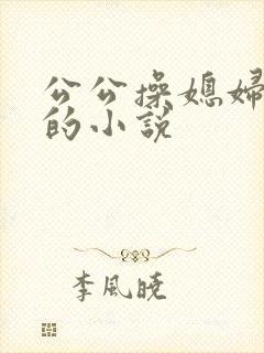 公公操媳妇逼逼的小说封面