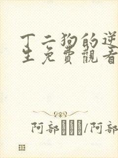 丁二狗的逆袭人生免费观看全集