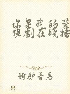 你是我的荣耀电视剧在线播放免费观看