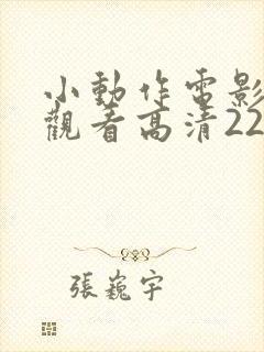 小动作电影免费观看高清22封面