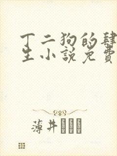 丁二狗的肆意人生小说免费阅读