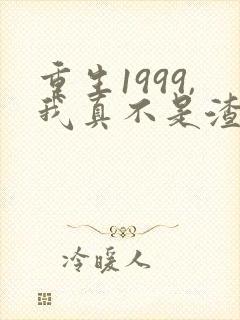 重生1999,我真不是渣男啊