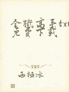 全职高手txt免费下载