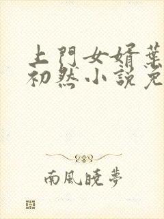 上门女婿叶辰萧初然小说免费阅读无弹窗