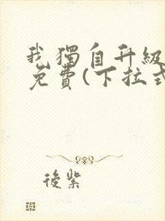 我独自升级漫画免费(下拉式)