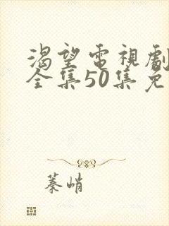 渴望电视剧高清全集50集免费观看封面