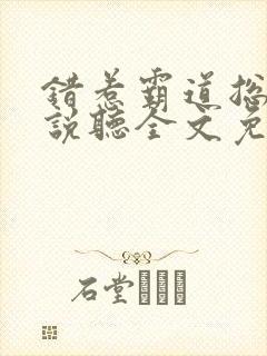 错惹霸道总裁小说听全文免费封面
