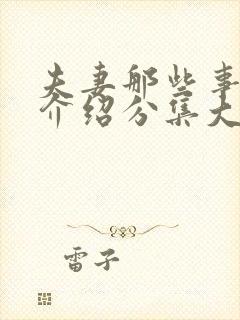 夫妻那些事剧情介绍分集大结局