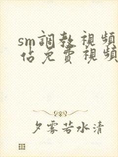 sm调教视频网站免费视频