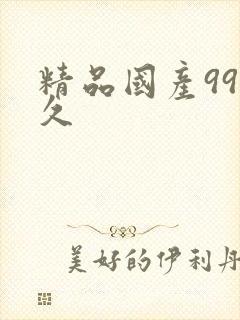 精品国产99久久