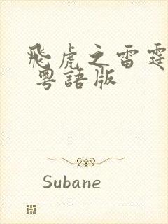 飞虎之雷霆极战 粤语版