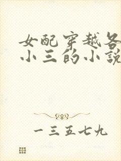 女配穿越各个做小三的小说