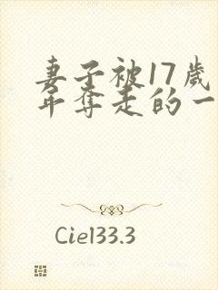 妻子被17岁少年夺走的一小说