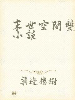 末世空间双男主小说