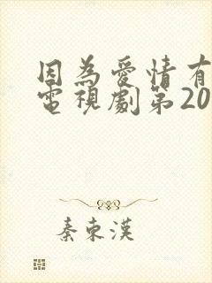 因为爱情有多美电视剧第20集