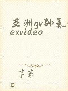 亚洲gv帅气sexvideo