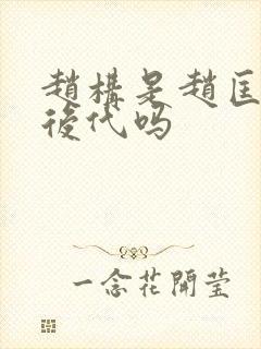 赵构是赵匡胤的后代吗