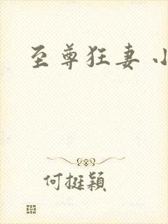 至尊狂妻 小说封面