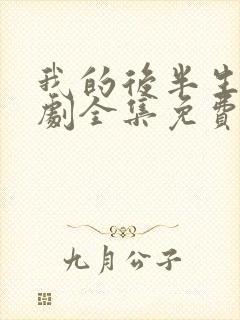 我的后半生电视剧全集免费观看高清版封面