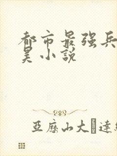 都市最强兵王叶昊小说