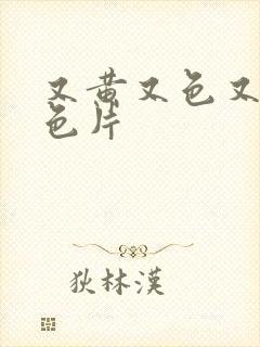 又黄又色又爽黄色片