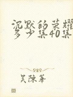 沉默的荣耀一共多少集40集封面