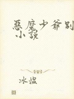 恶魔少爷别惹我 小说