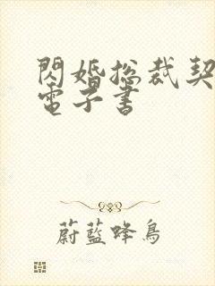 闪婚总裁契约妻电子书