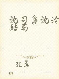 沈司枭沈泠初大结局