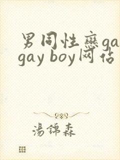 男同性恋gaygay boy网站