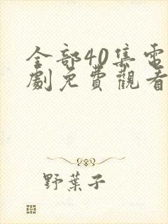 全部40集电视剧免费观看