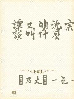 谭又明沈宗年小说叫什么