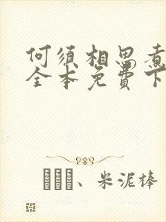 何须相思煮余年全本免费下载