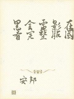 黑金电影在线观看完整版国语高清