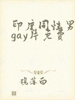 印度同性男男黄gay片免费