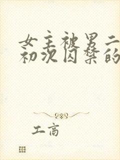 女主被男二夺走初次囚禁的小说封面