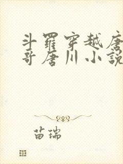 斗罗穿越唐三亲哥唐川小说