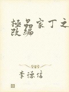 极品家丁之四季改编