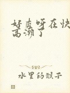 好爽呀在快点又高潮了