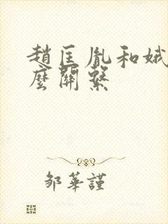 赵匡胤和娥皇什么关系封面