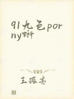 91九色porny蚪