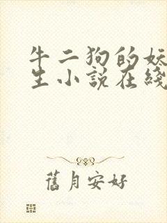 牛二狗的妖孽人生小说在线阅读